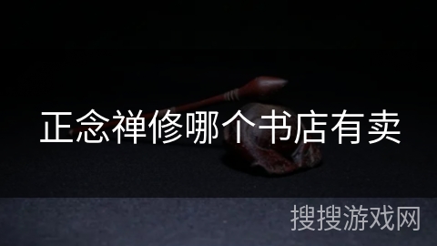 正念禅修哪个书店有卖
