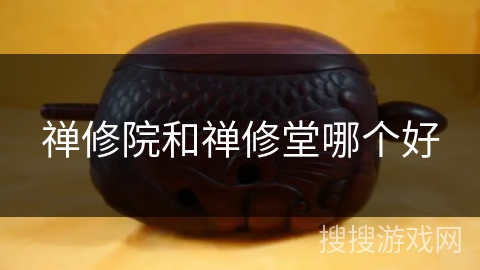 禅修院和禅修堂哪个好 禅修院和禅修堂哪个好