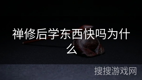 禅修后学东西快吗为什么 禅修后学东西快吗为什么