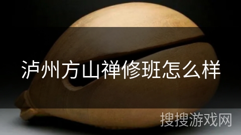 泸州方山禅修班怎么样