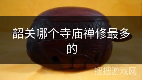 韶关哪个寺庙禅修最多的