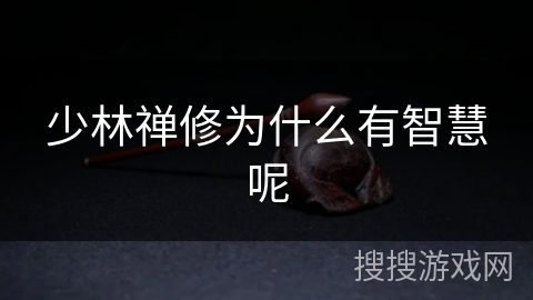 少林禅修为什么有智慧呢