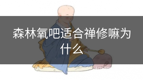 森林氧吧适合禅修嘛为什么 森林氧吧适合禅修嘛为什么