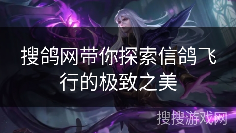 搜鸽网带你探索信鸽飞行的极致之美 搜鸽网带你探索信鸽飞行的极致之美