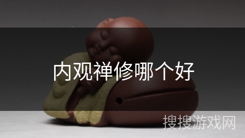 内观禅修哪个好