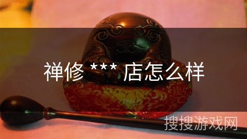 禅修 *** 店怎么样