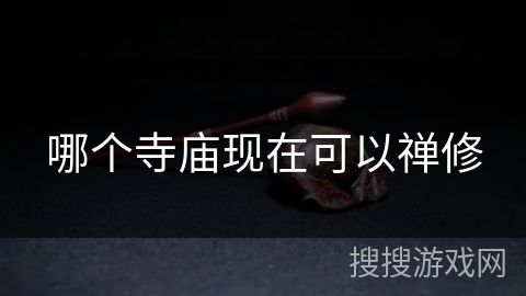 哪个寺庙现在可以禅修