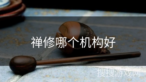 禅修哪个机构好 禅修哪个机构好