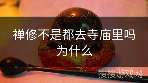 禅修不是都去寺庙里吗为什么