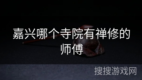 嘉兴哪个寺院有禅修的师傅