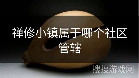 禅修小镇属于哪个社区管辖
