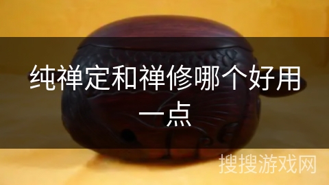 纯禅定和禅修哪个好用一点