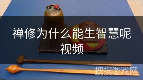 禅修为什么能生智慧呢视频