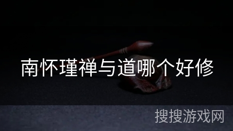 南怀瑾禅与道哪个好修