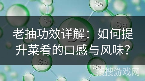 老抽功效详解：如何提升菜肴的口感与风味？