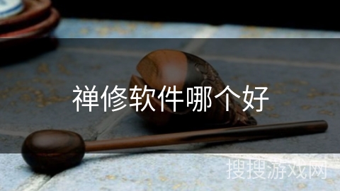 禅修软件哪个好