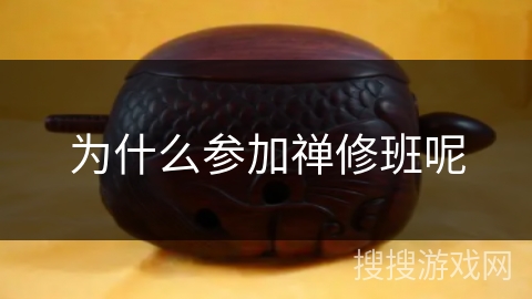 为什么参加禅修班呢 为什么参加禅修班呢