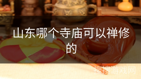 山东哪个寺庙可以禅修的