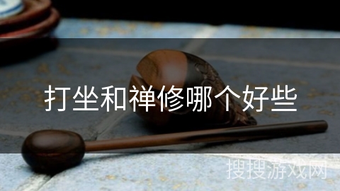 打坐和禅修哪个好些 打坐和禅修哪个好些