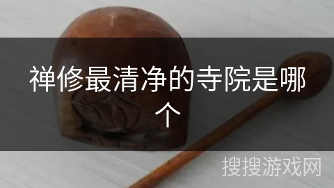 禅修最清净的寺院是哪个