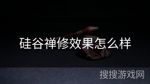 硅谷禅修效果怎么样