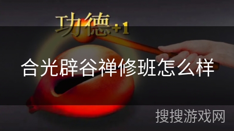 合光辟谷禅修班怎么样