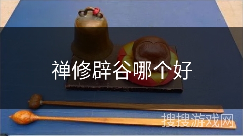 禅修辟谷哪个好