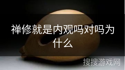 禅修就是内观吗对吗为什么