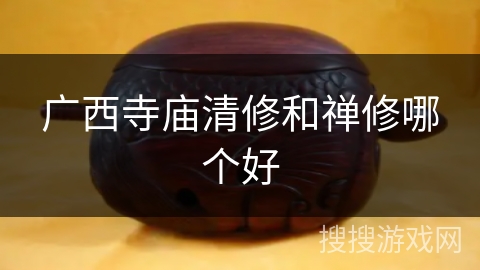 广西寺庙清修和禅修哪个好