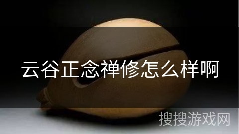 云谷正念禅修怎么样啊