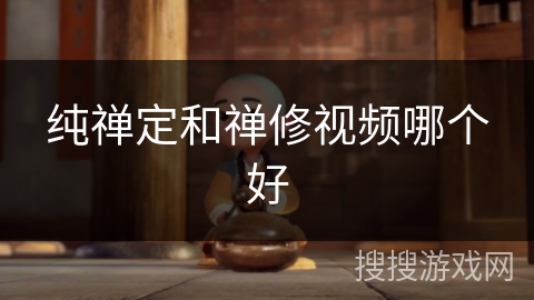 纯禅定和禅修视频哪个好