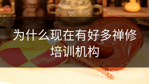 为什么现在有好多禅修培训机构