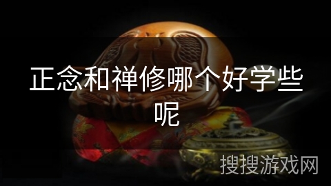 正念和禅修哪个好学些呢