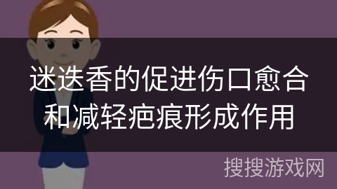 迷迭香的促进伤口愈合和减轻疤痕形成作用