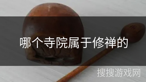 哪个寺院属于修禅的