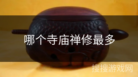 哪个寺庙禅修最多