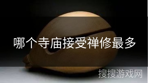 哪个寺庙接受禅修最多