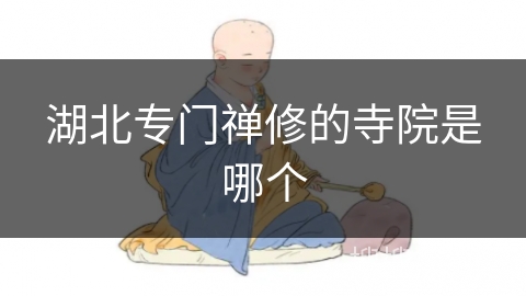 湖北专门禅修的寺院是哪个