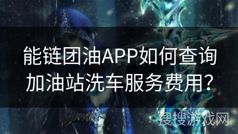 能链团油APP如何查询加油站洗车服务费用？