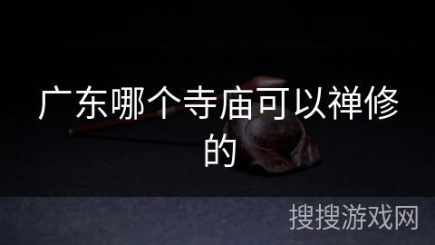 广东哪个寺庙可以禅修的