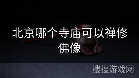 北京哪个寺庙可以禅修佛像