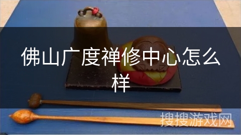 佛山广度禅修中心怎么样