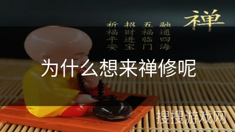 为什么想来禅修呢