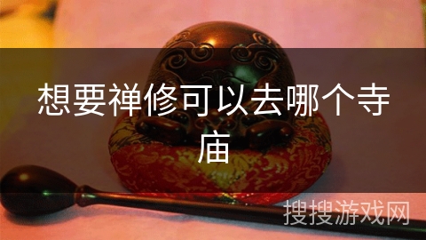 想要禅修可以去哪个寺庙