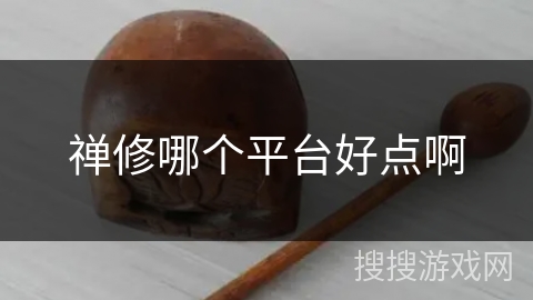 禅修哪个平台好点啊