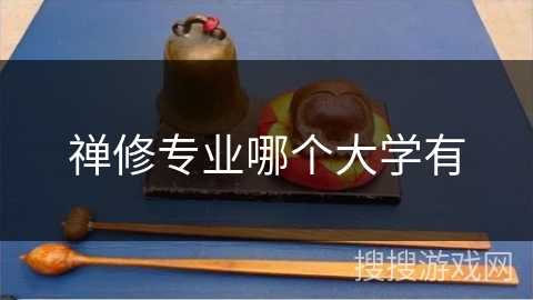 禅修专业哪个大学有