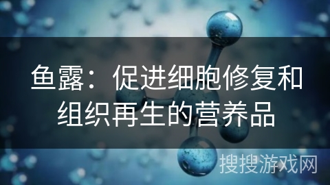 鱼露:促进细胞修复和组织再生的营养品