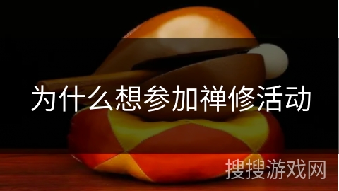 为什么想参加禅修活动