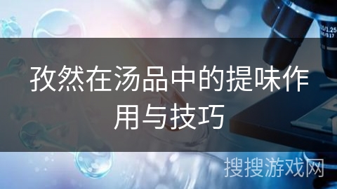 孜然在汤品中的提味作用与技巧