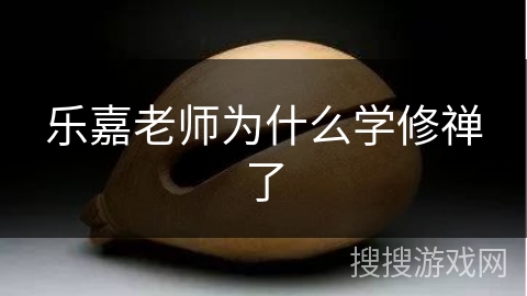 乐嘉老师为什么学修禅了 乐嘉老师为什么学修禅了